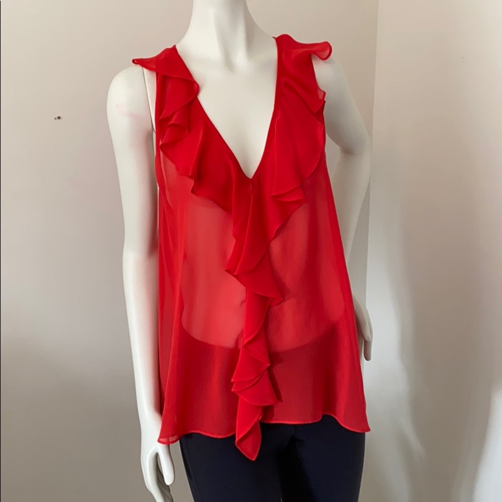 Sheer ruffle blouse